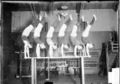 Гимнастическое упражнение «Превед Хомского» — неоценимый вклад Хомского в спорт