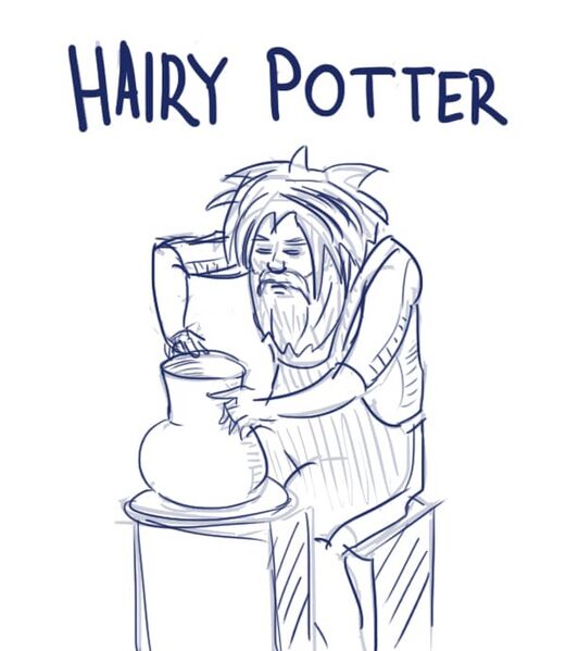 Файл:Hairy Potter.jpg