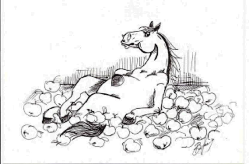 Файл:Конь в яблоках.jpg
