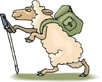 Файл:Овца-путница.png