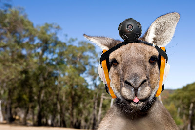 Файл:Kangaroo-camera.jpg