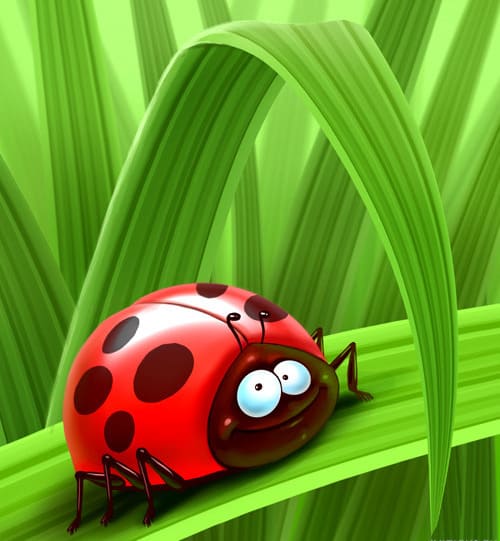 Файл:Ladybird.jpg