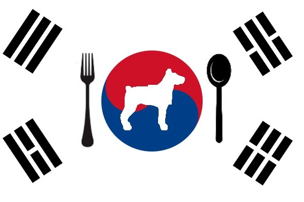 Файл:Samsung flag korea.JPG