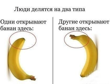Файл:Бананы.jpg