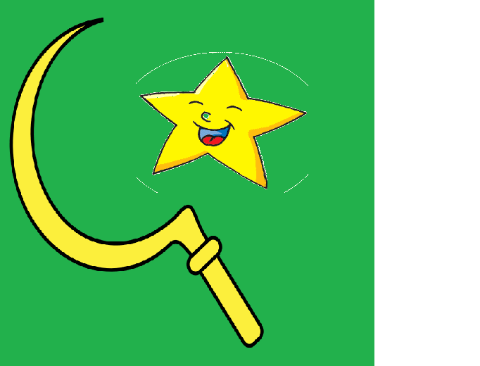 Файл:Флаг Пакистана.png