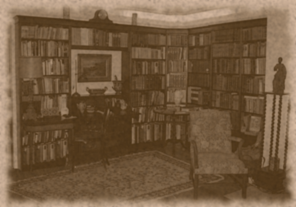Файл:Aitd Library background.png