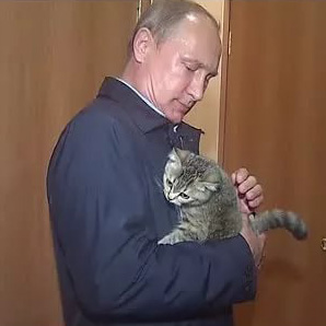 Putin s kotom.jpg