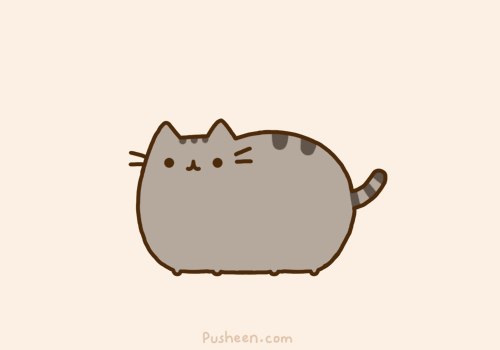Файл:Толстый котик.jpg