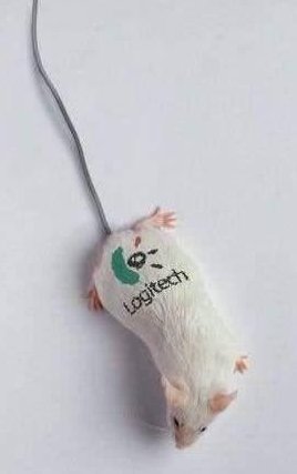 Файл:Logitech mouse.jpg