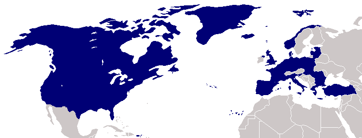 Файл:Map of NATO countries.png