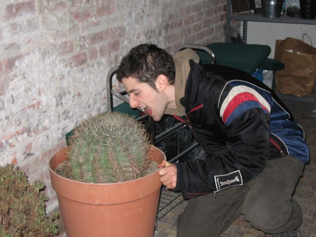 Файл:Jason eating cactus.jpg