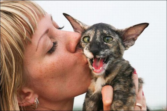 Файл:Поцелуй-с-котом.jpg