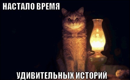 Кот с лампой (время историй)