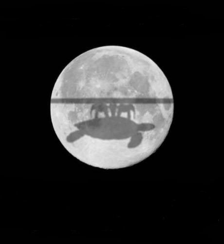Файл:Лунное-затмение-плоскозёмых.jpg