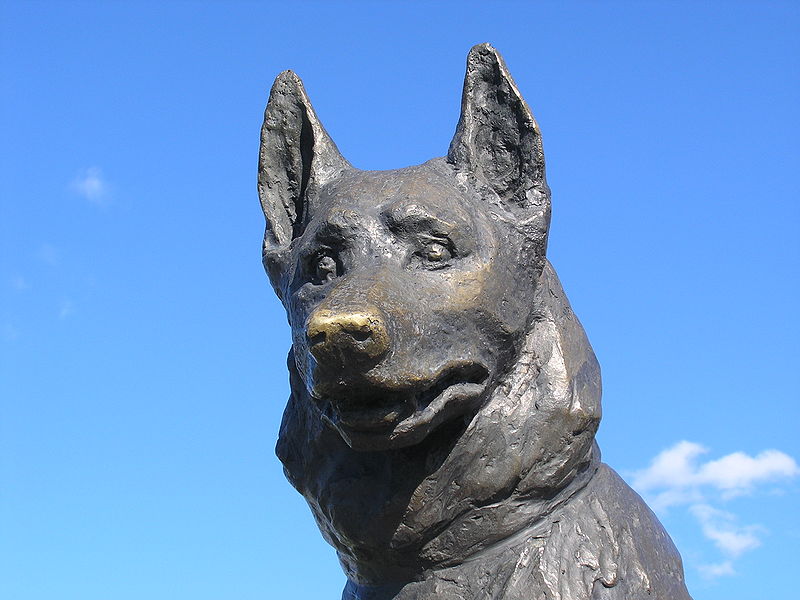 Файл:Dog monument.JPG