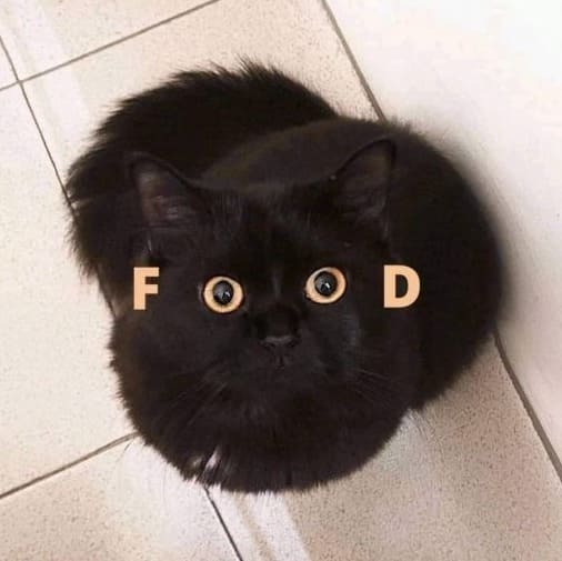 Файл:Cat-Food.jpg