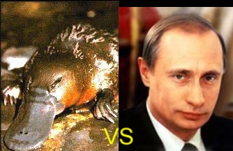 Файл:Утконос и Путин.JPG