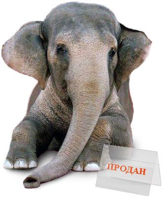 Файл:Слон продан.jpg