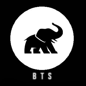Файл:Логотип BTS.png