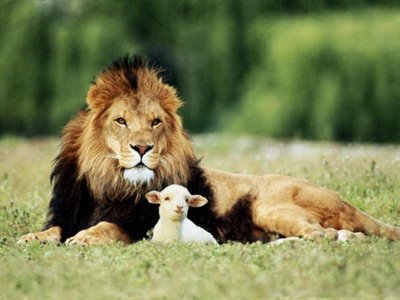 Файл:Lion and lamb.jpg