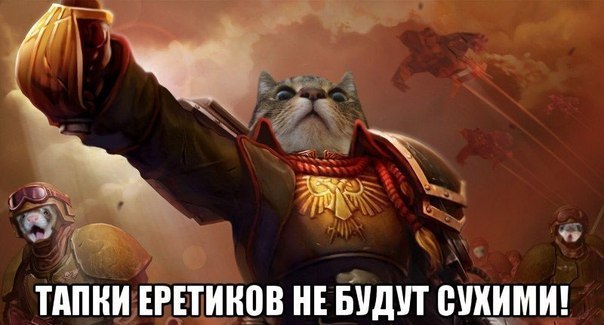 Файл:Императорский-кот.jpg