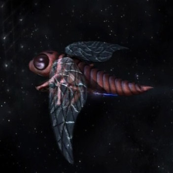 Файл:Moth.jpg