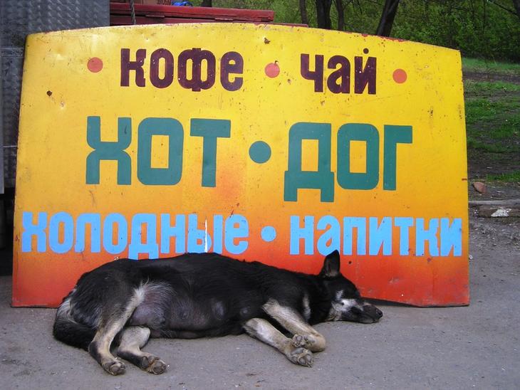 Файл:Taganrog lunchroom advertising appeal.jpg