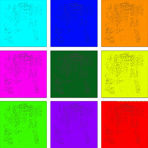 Файл:Kvadrat color.jpg