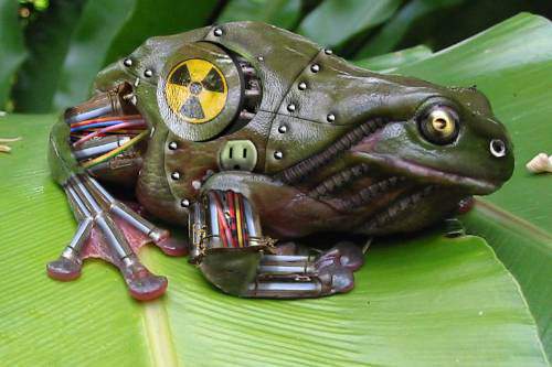 Файл:Nuclear frog.jpg
