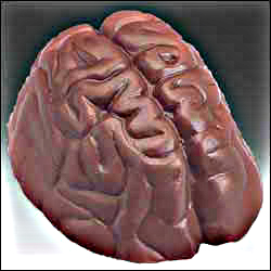 Файл:Cho lg chocolate brain lg.jpg