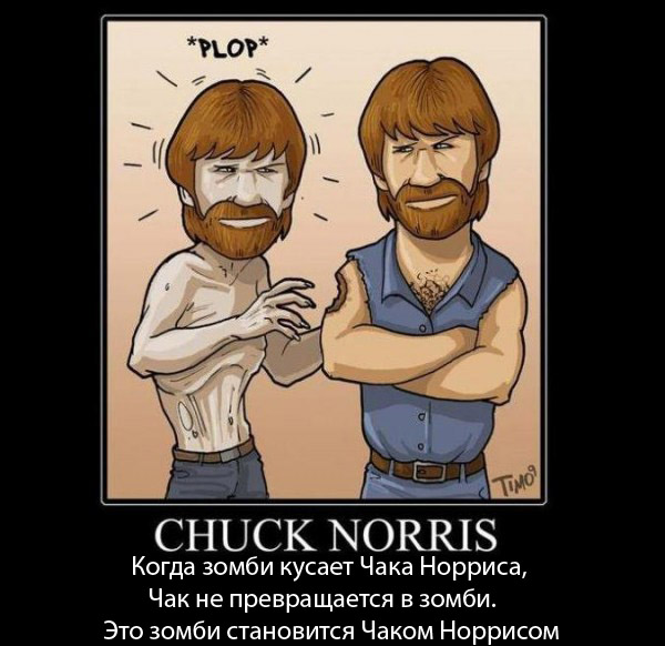 Файл:Chuck-zombie.jpg