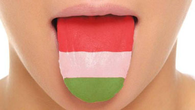 Файл:Венгерский-язык.jpg