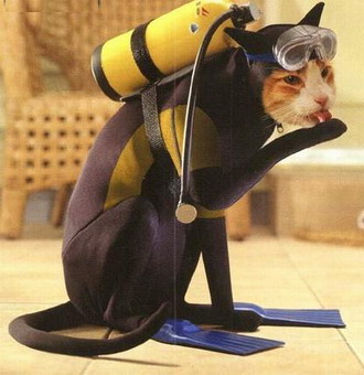 Файл:Cat in scuba suit.jpg