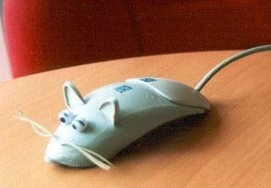 Файл:Typical mouse.jpg