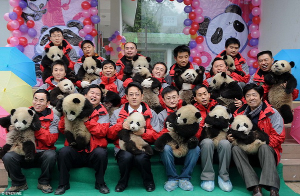 Файл:Панды и китайцы .jpg