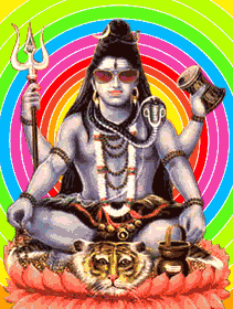 Файл:Shiva con occhiali.gif