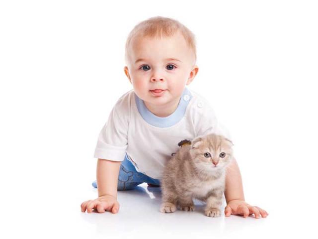 Файл:Котенок и ребенок.jpg
