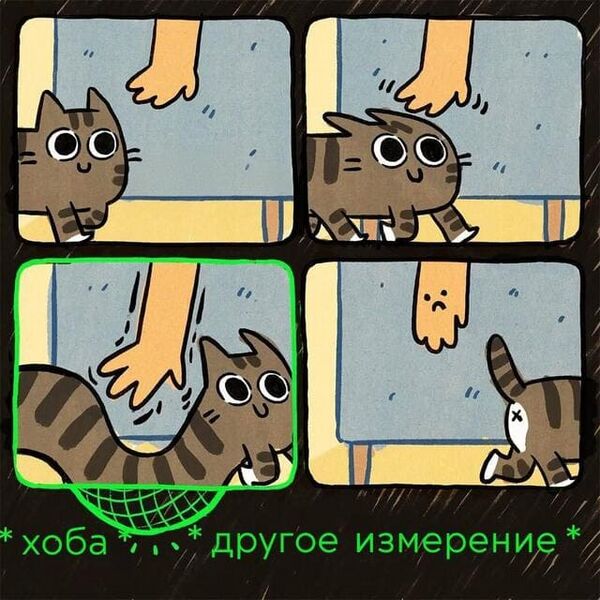 Файл:Котоискривление.jpg