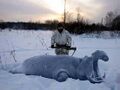 Миниатюра для версии от 06:37, 13 сентября 2026