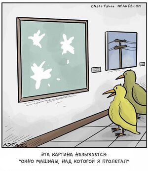 Птичья-галерея.jpeg