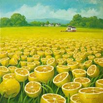 18.7.2020: Лимонная жатва в разгаре.