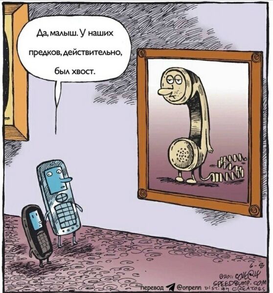 Файл:Телехвост.jpg