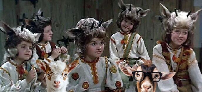 Козлята (мамины)