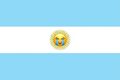 Флаг-Аргентины.jpg