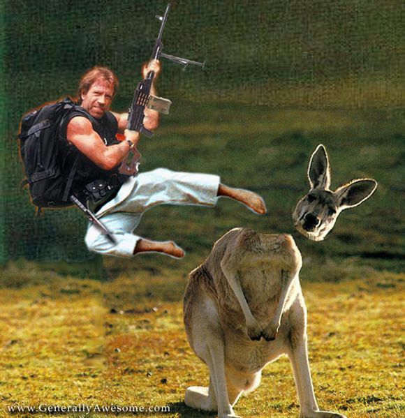 Файл:Убийство кенгуру.jpg