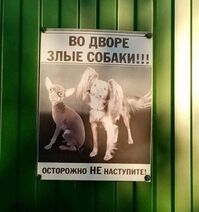 8.1.2026: Внимательность прежде всего!