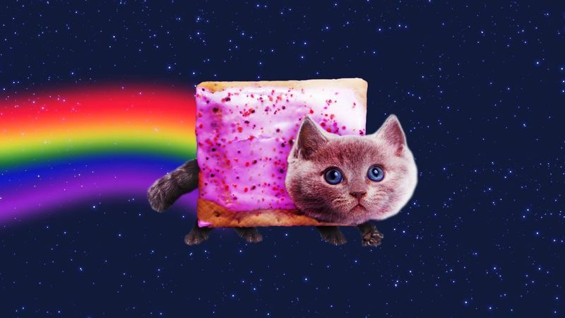 Файл:Nyan Cat 3.jpg