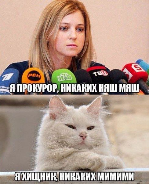 Файл:Поконская-и-кот.jpg
