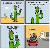 30.10.2025: Кактус геймера.