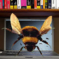 Пчела устраивает видеоконференцию